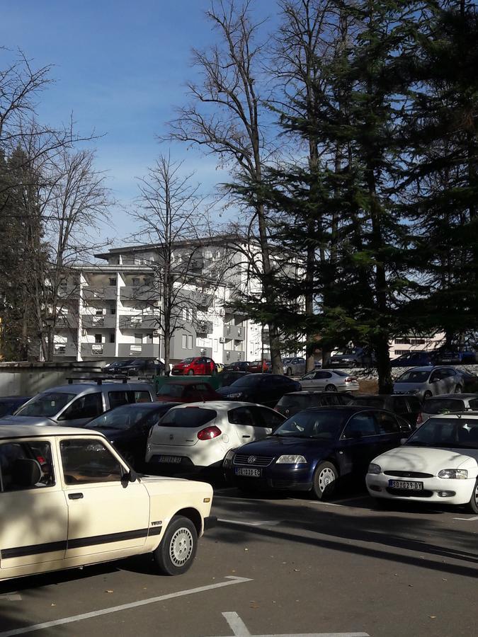 Apartment Dana Banja Koviljača Exterior foto